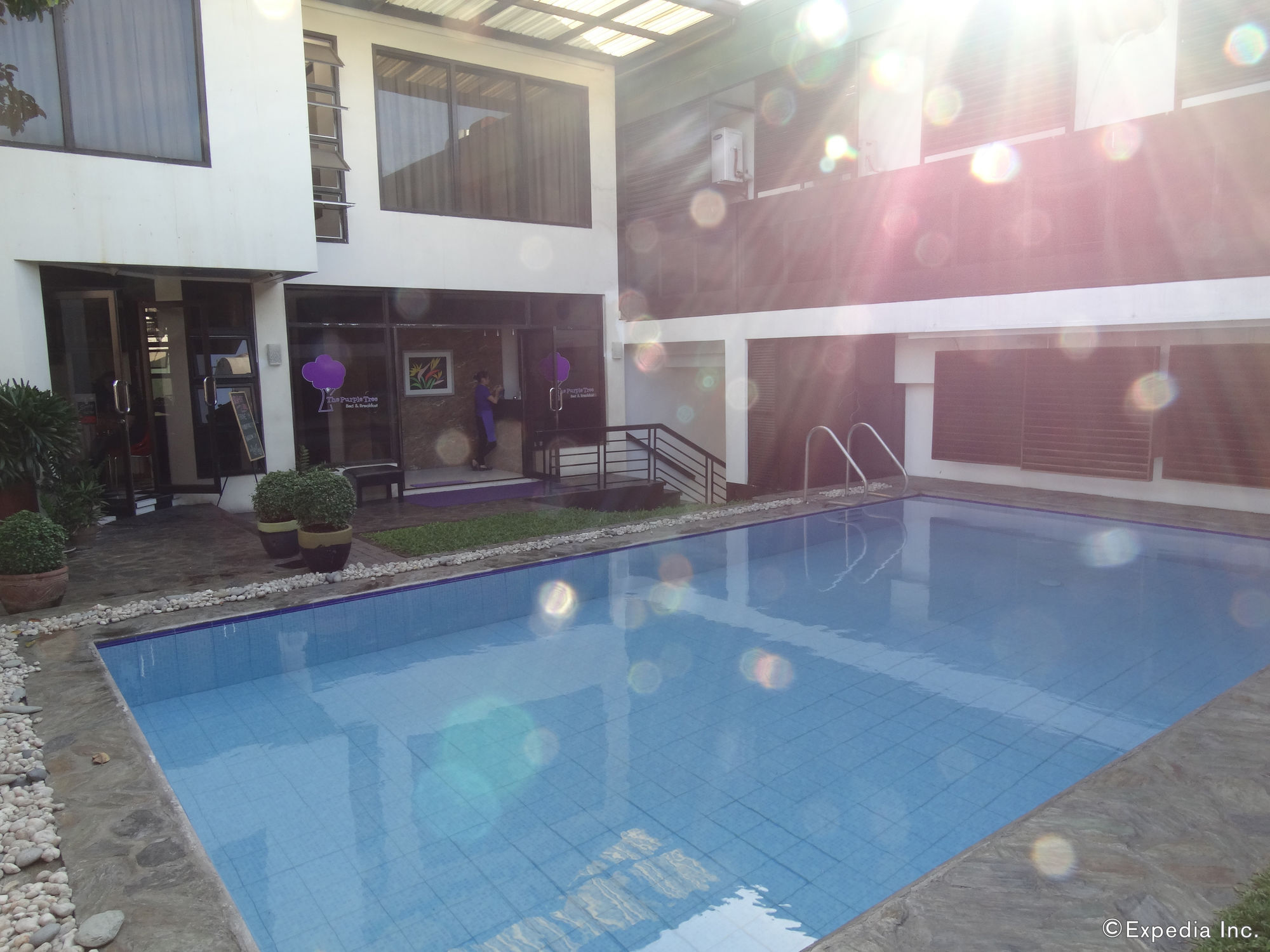 Purple Tree Bed & Breakfast Paranaque City Εξωτερικό φωτογραφία